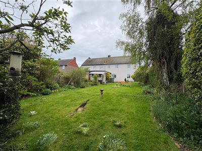 Picture 29